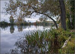 photo "Fall river"