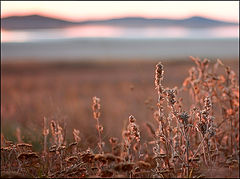 photo "***"
