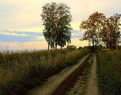 photo "***"