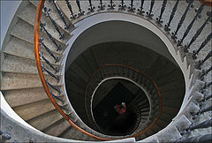 фото "улитка"