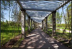 photo "pergola"