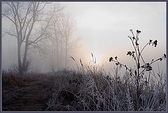 photo "The Morning.The First chill."