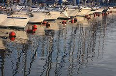 фото "Morning at the Port"