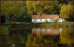 photo "***"