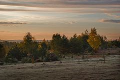 фото "Розовые заморозки"