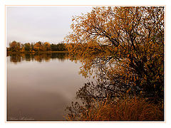 photo "***"