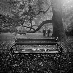 photo "Scattered memories"