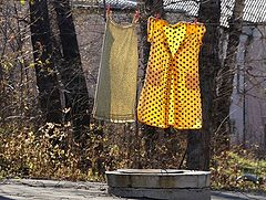 фото "Жовтень."