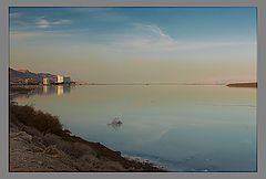 фото "The Dead Sea"