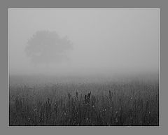 photo "***"