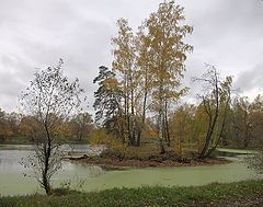 фото "Осенний островок."