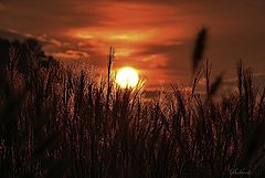 photo "zahod"