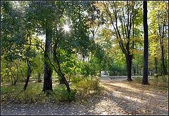 photo "Autumn in the Park"