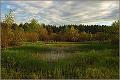 фото "Маленький прудик"