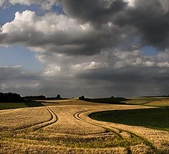 photo "***"