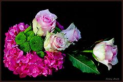 photo "Do you like flowers?"