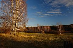 фото "Сельский пейзаж."