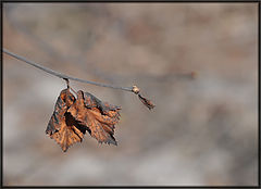 фото "прошлое"