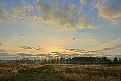 photo "***"