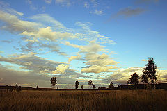 фото "* - * -  *"