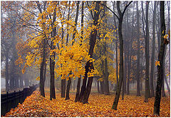 фото "Туманы  осени"