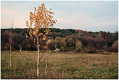 фото "Осенняя зарисовка"