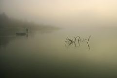 фото "Утренняя  с рыболовом"