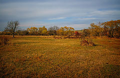 photo "The colors of late autumn"