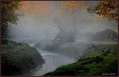 photo "a good morning"
