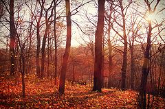 photo "Autumn."
