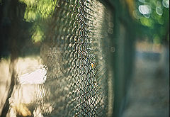 photo "Bokeh"