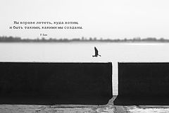 photo "***"