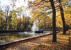 фото "лучи"