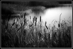 photo "***"
