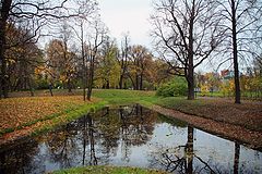фото "отражения"