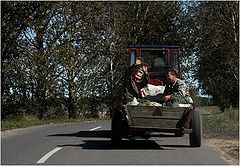 фото "Все, сдаюсь, не стреляй! :)"