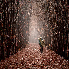 photo "Falling leaves"