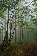 photo "***"