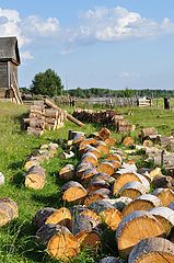 фото "Деревня"