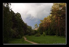 photo "The window in the summer"