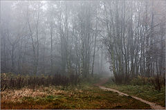 photo "***"