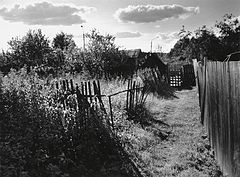 photo "***"