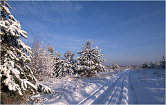 фото "Первый снег"