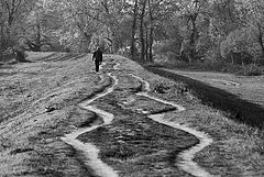 фото "The Long and Winding Road"