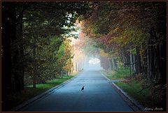 photo "***"