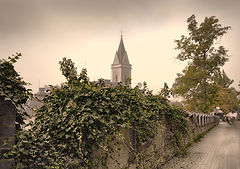 photo "Misty Morning."