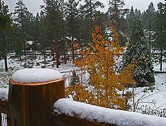 фото "Big Bear, Ca."
