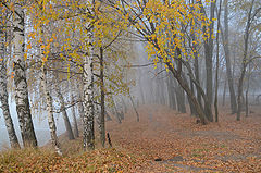 photo "***"