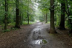 photo "***"