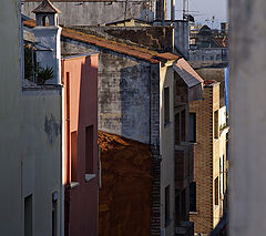 фото "***"